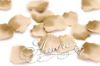 Picture of Silk Rose Petals Fern (2 Tones)