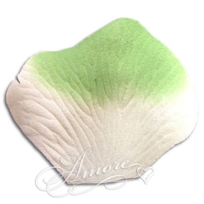 Picture of Silk Rose Petals Green-Light Ivory