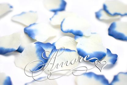 Picture of Silk Rose Petals Laguna (Light ivory and Royal Blue)